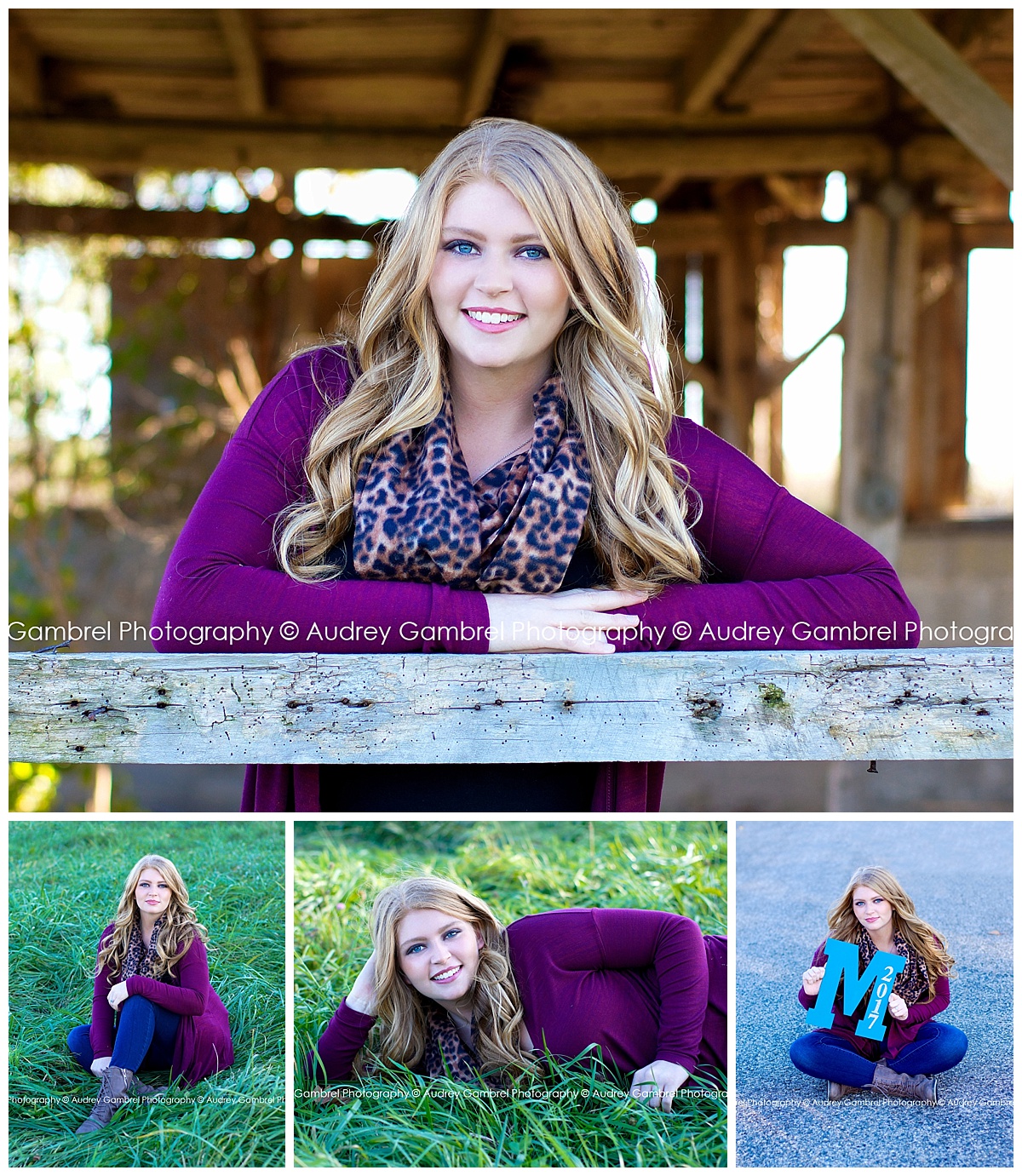 High School Senior Photograper, Senior Portraits, New Castle Indiana