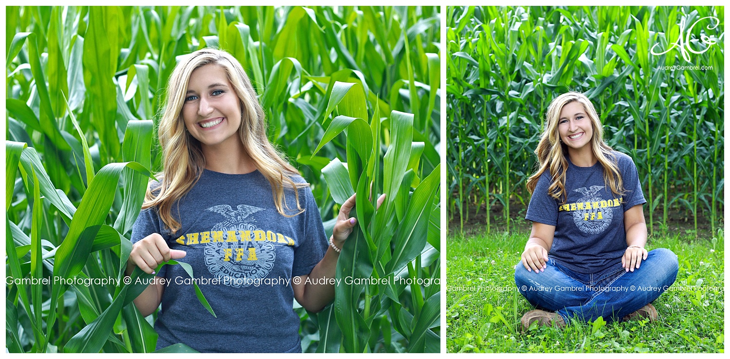 senior portraits new castle indiana